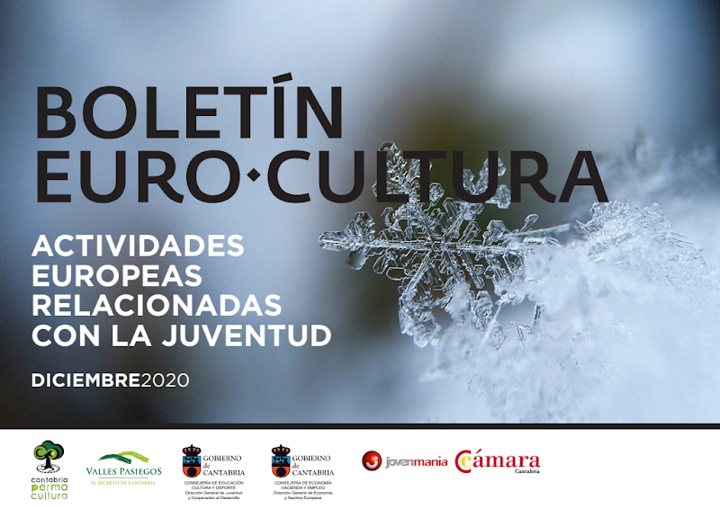 Portada del boletín Noviembre 2020