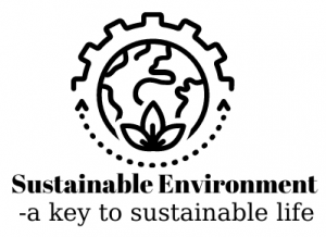 Logo de Sustainable Environment a key to sustainable life